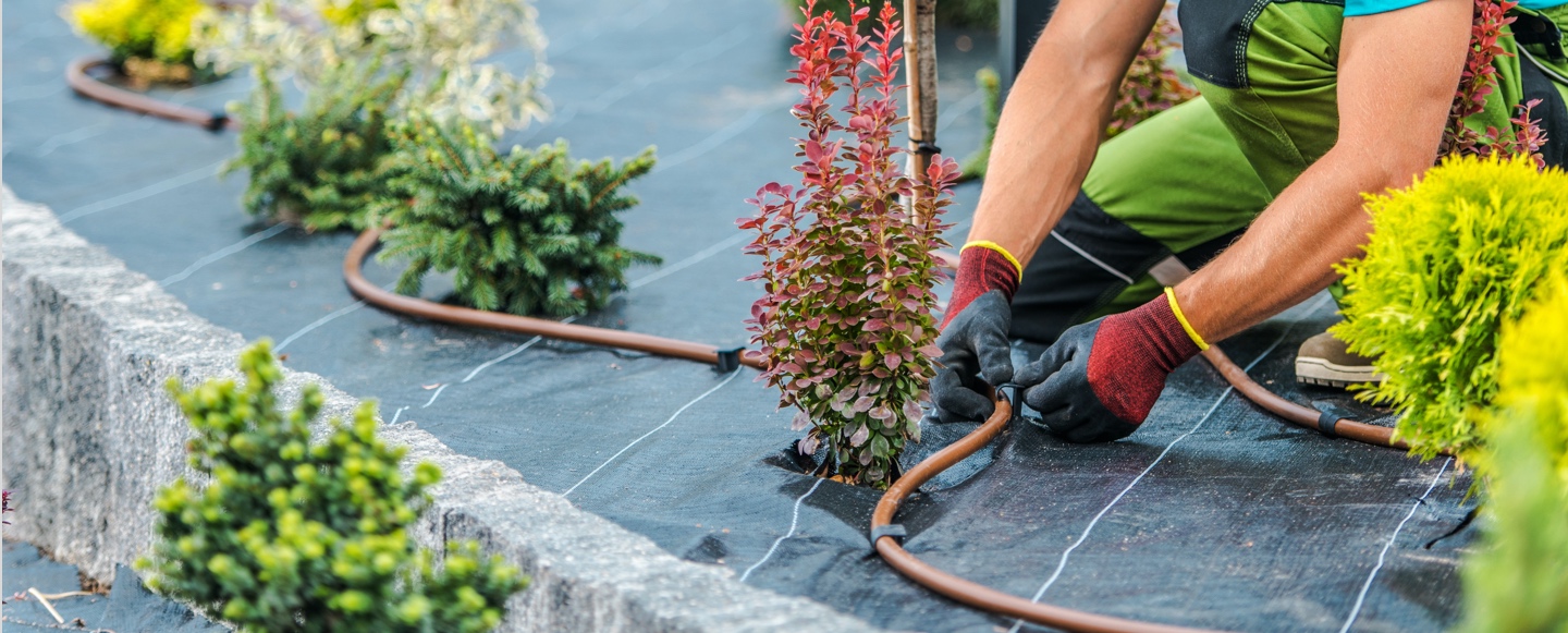 Smoak Irrigation Landscape installing sprinkler systems